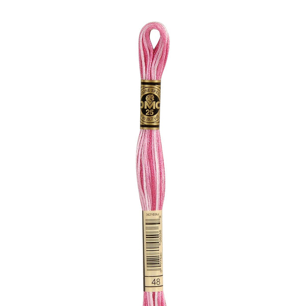 48 Indian Rose Ombre DMC Six Strand Embroidery Floss