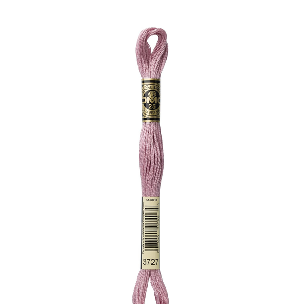 3727 Lycee - DMC Six Strand Embroidery Floss
