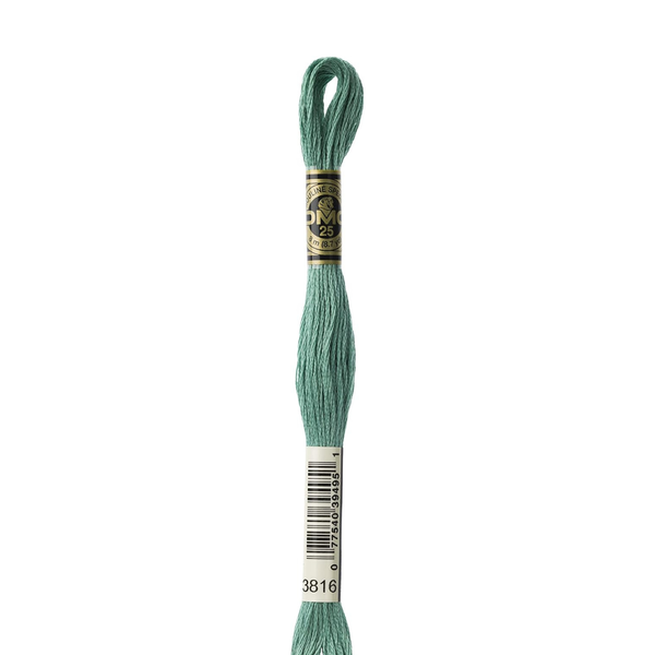 3816 Serpent - DMC Six Strand Embroidery Floss