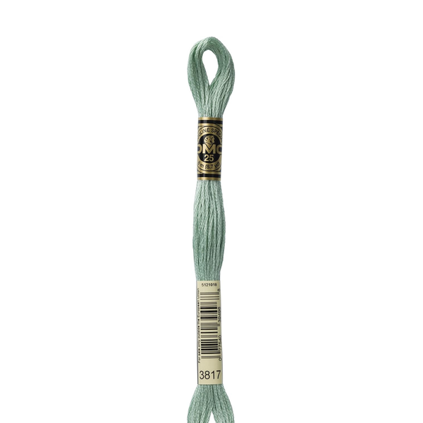3817 Poplar - DMC Six Strand Embroidery Floss