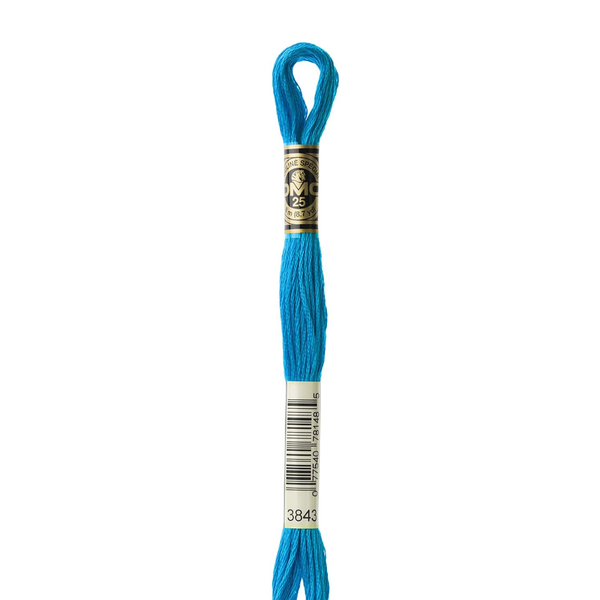3843 Pool Blue - DMC Six Strand Embroidery Floss