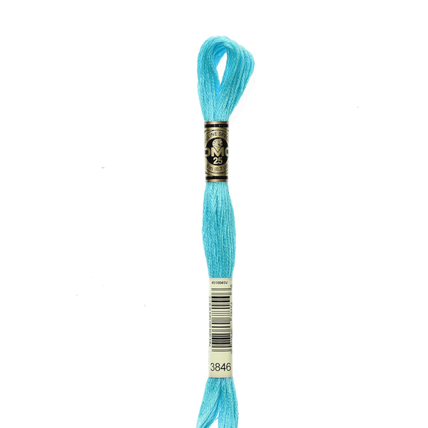 3846 Navajo Blue - DMC Six Strand Embroidery Floss