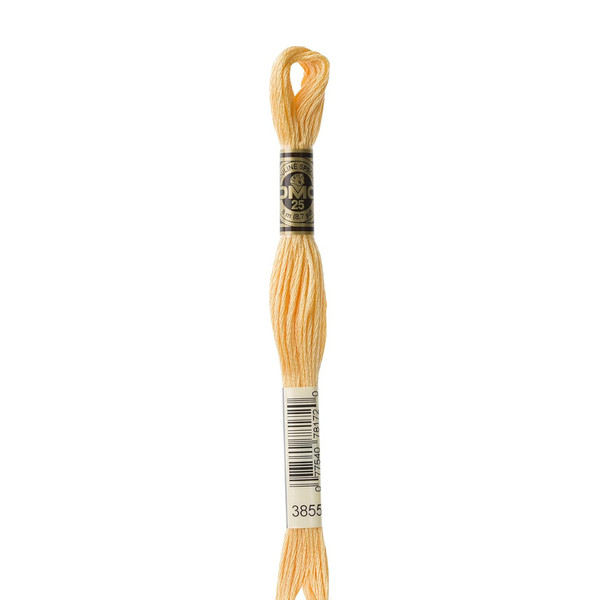 3855 Desert Winds - DMC Six Strand Embroidery Floss