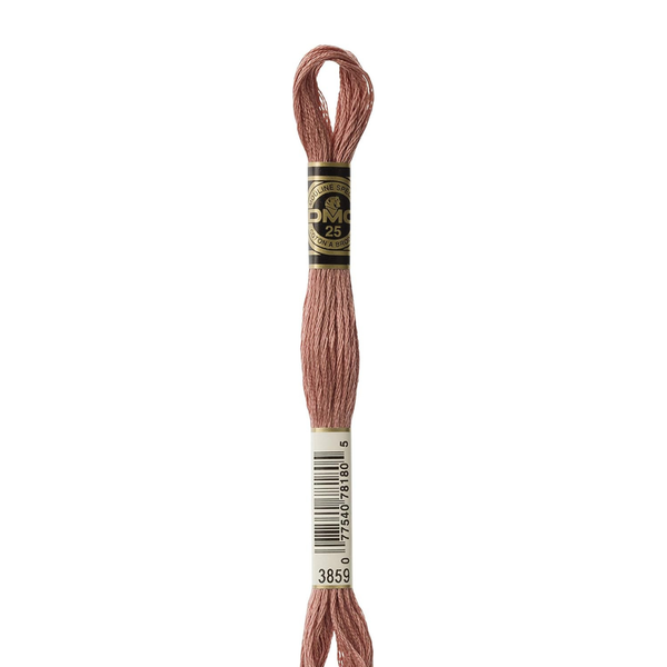 3859 Clay - DMC Six Strand Embroidery Floss