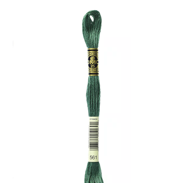 561 Cypress Green - DMC Six Strand Embroidery Floss