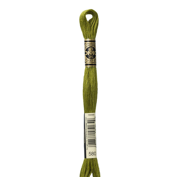 580 Cactus - DMC Six Strand Embroidery Floss