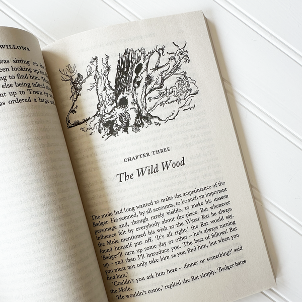 The Wind in the Willows | Paperback Luxe Edition