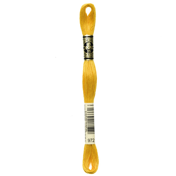 972 Curry - DMC Six Strand Embroidery Floss