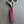 Leather Scissor Sheath