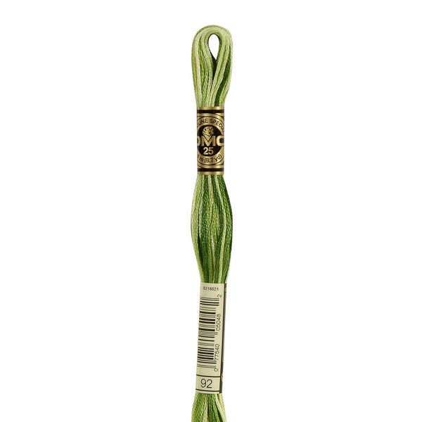92 Foliage Green Ombre  - DMC Six Strand Embroidery Floss
