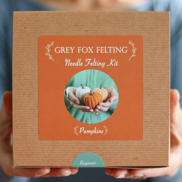 Needle Felted Pumpkins Kit (Beginner)