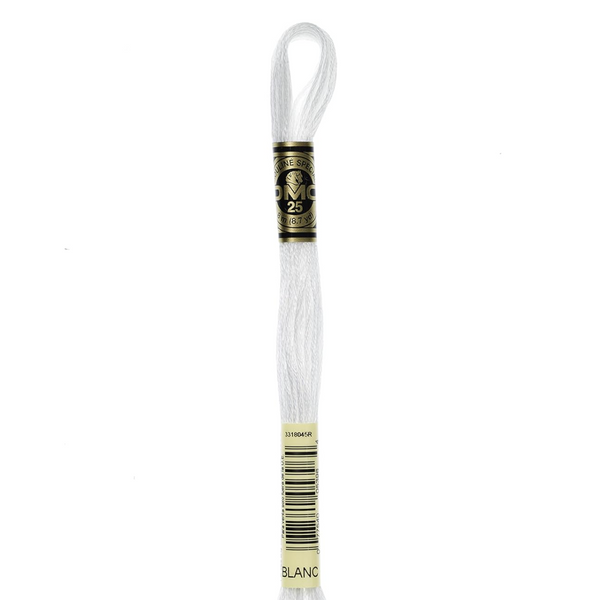 BLANC  - DMC Six Strand Embroidery Floss