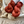 Plush DK