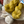 Plush DK