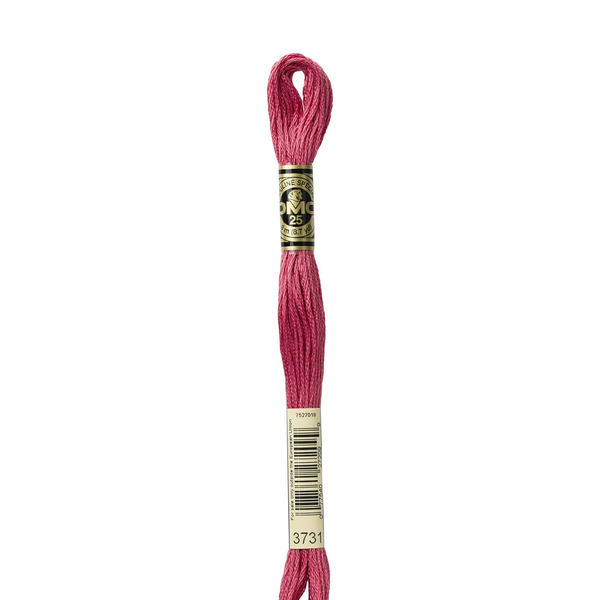 3731 Pink Pepper  - DMC Six Strand Embroidery Floss