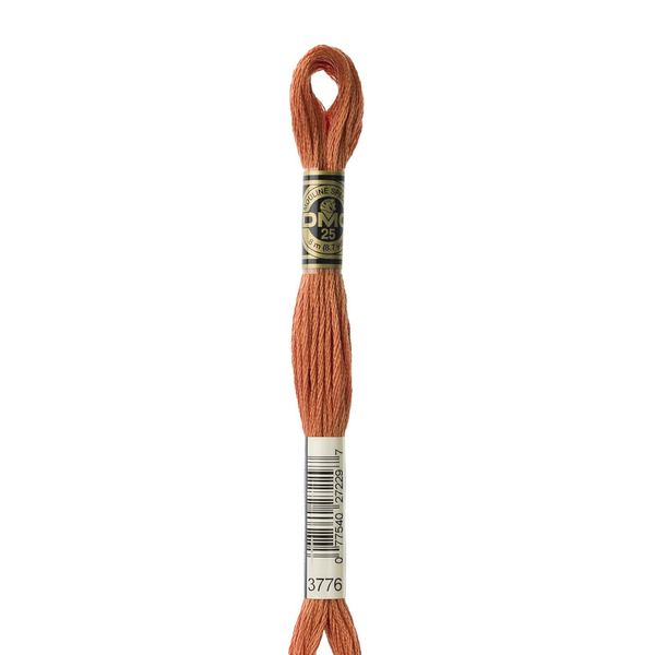 3776 Nut Brittle  - DMC Six Strand Embroidery Floss