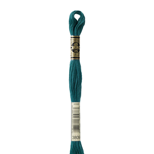 3809 Sea Cave  - DMC Six Strand Embroidery Floss