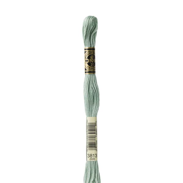 3813 Lichen Green  - DMC Six Strand Embroidery Floss