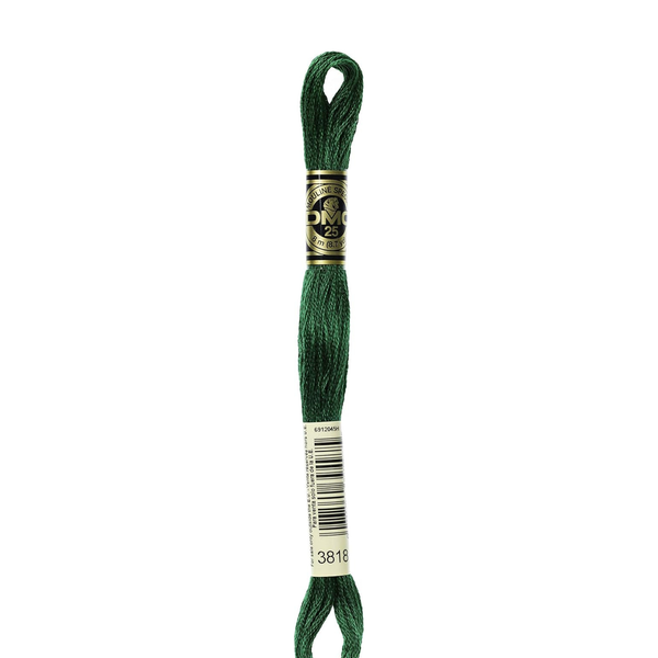 3818 Broccoli  - DMC Six Strand Embroidery Floss