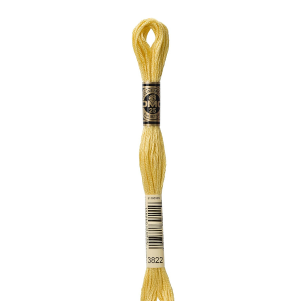 3822 Corn Husk  - DMC Six Strand Embroidery Floss