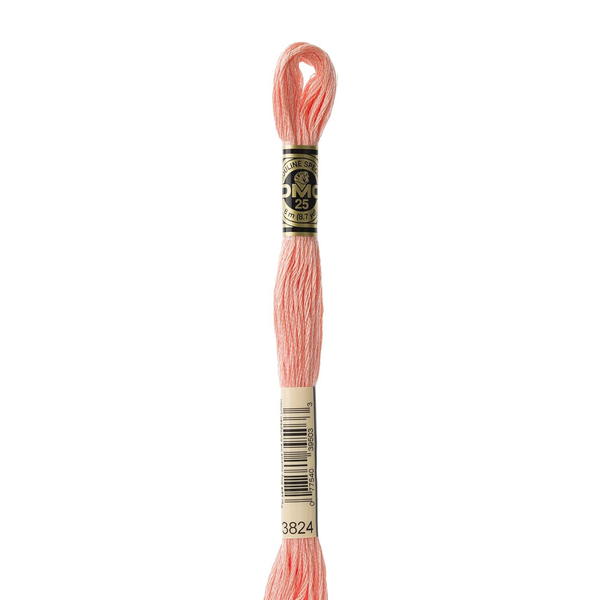 3824 Strawberry Chew - DMC Six Strand Embroidery Floss