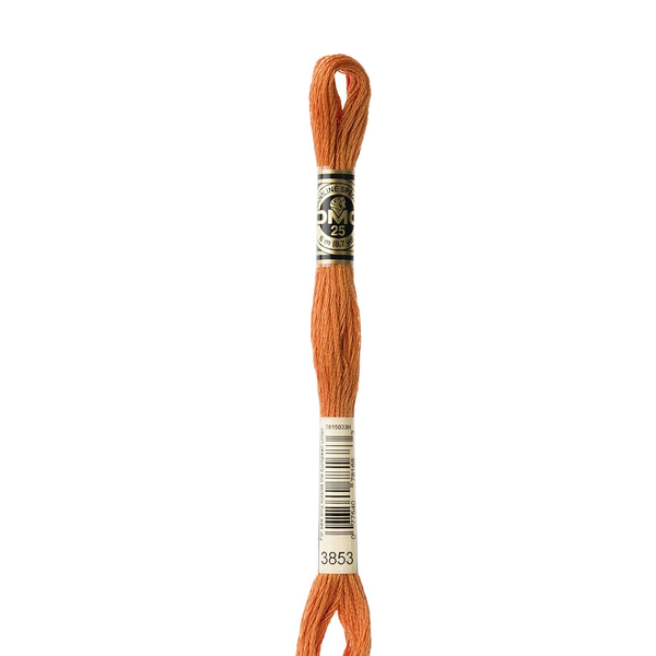 3853 Copper  - DMC Six Strand Embroidery Floss