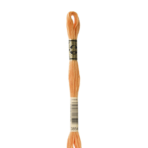 3854 Chai Spice  - DMC Six Strand Embroidery Floss