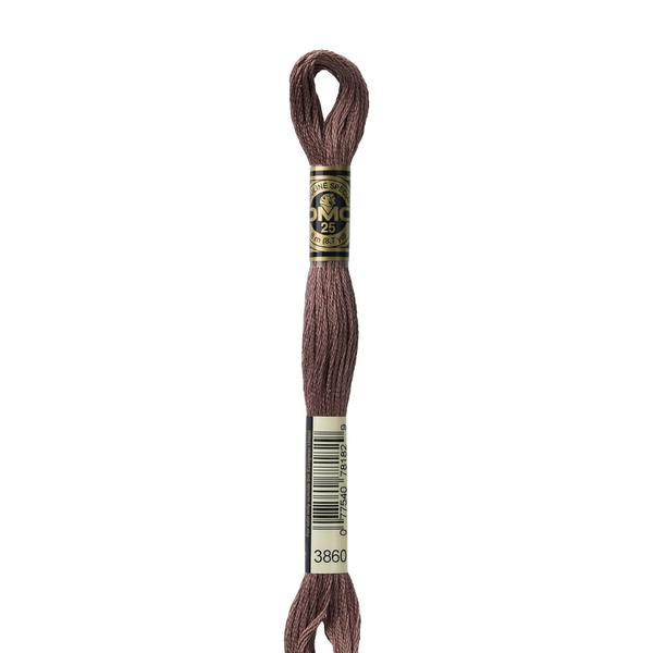 3860 Dark Taupe  - DMC Six Strand Embroidery Floss