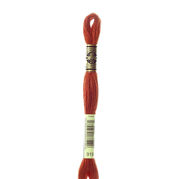 919 Terracotta Brown - DMC Six Strand Embroidery Floss