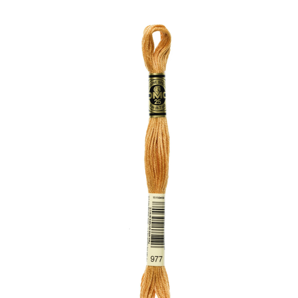 977 Caramel - DMC Six Strand Embroidery Floss