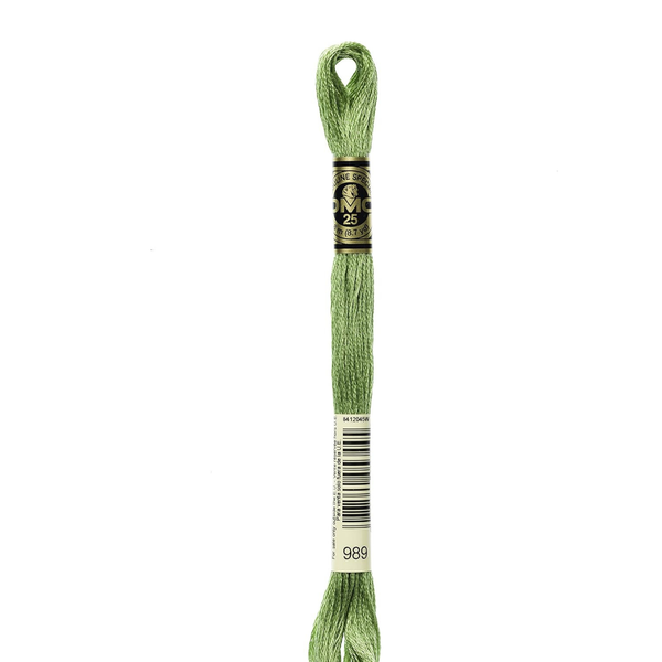 989 Fennel  - DMC Six Strand Embroidery Floss