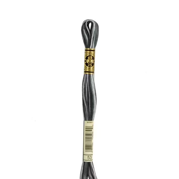 53 Nocturnal Ombre  - DMC Six Strand Embroidery Floss