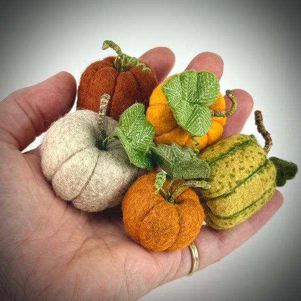Class: Felt Pumpkins & Squash