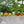 Class: Felt Pumpkins & Squash