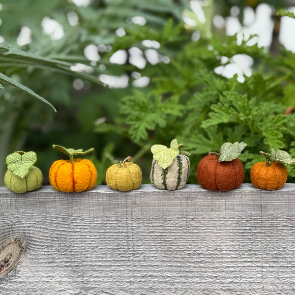 Class: Felt Pumpkins & Squash