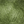 Knitting for Olive Soft Silk Mohair