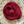 Nimble Sock