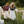 Little Women Knits