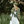 Little Women Knits