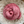 Nimble Sock