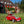 Felt Craft Kit - Wind in the Willows, Mr. Toad