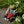 Felt Craft Kit - Wind in the Willows, Mr. Toad