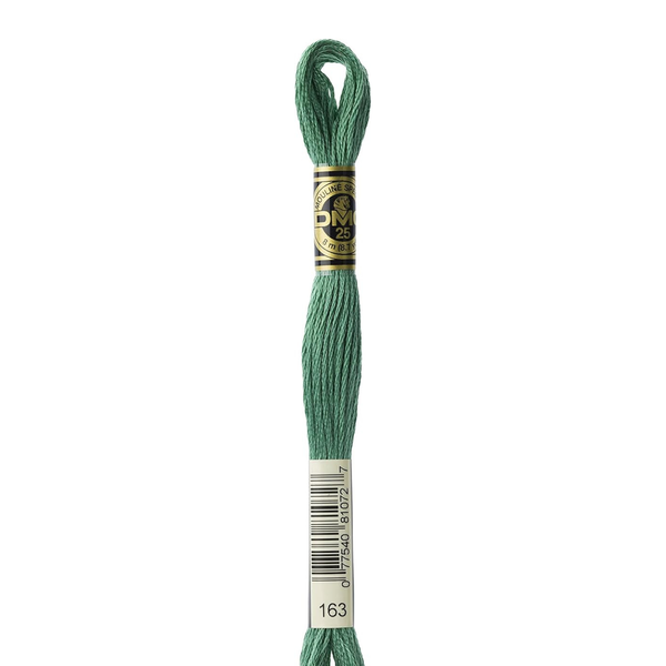163 Eucalyptus  - DMC Six Strand Embroidery Floss