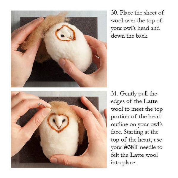Barn Owl Needle Felting Kit (Intermediate)