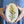 Goldenrod Wall Hanging Needle Felting Kit (Beginner)