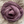 Nimble Sock
